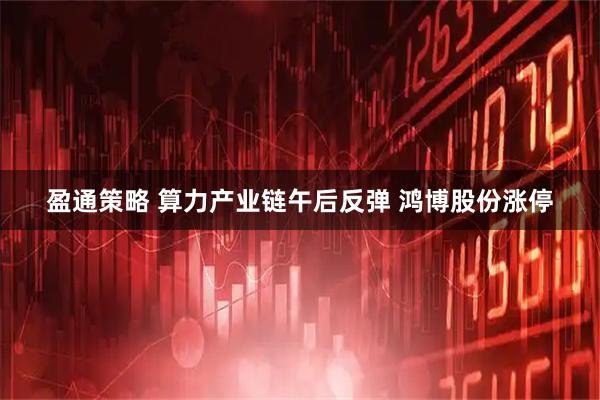 盈通策略 算力产业链午后反弹 鸿博股份涨停