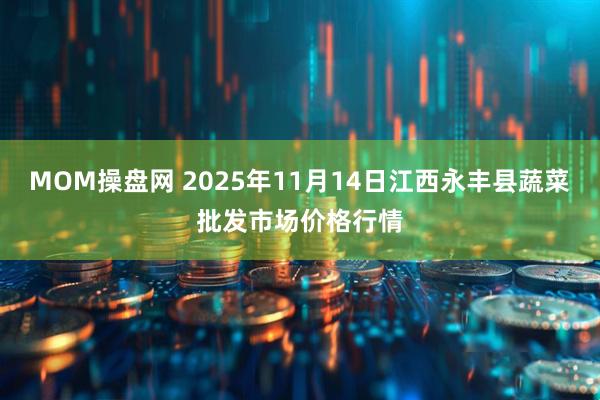 MOM操盘网 2025年11月14日江西永丰县蔬菜批发市场价格行情
