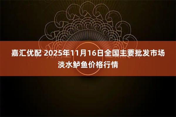 嘉汇优配 2025年11月16日全国主要批发市场淡水鲈鱼价格行情