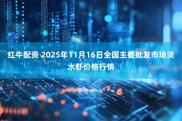 红牛配资 2025年11月16日全国主要批发市场淡水虾价格行情