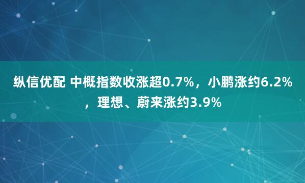 纵信优配 中概指数收涨超0.7%，小鹏涨约6.2%，理想、蔚来涨约3.9%