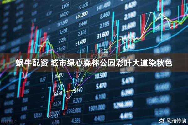 蜗牛配资 城市绿心森林公园彩叶大道染秋色